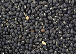 Read more about the article उडीद (Black gram)
