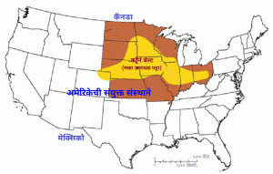 कॉर्न बेल्ट (Corn Belt)