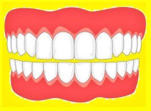Read more about the article दंत्य मानवशास्त्र (Dental Anthropology)