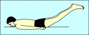 Read more about the article शलभासन (Shalabhasana)
