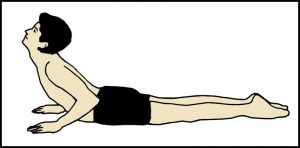 भुजंगासन (Bhujangasana)