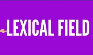 अर्थक्षेत्र (Semantic/Lexical field)