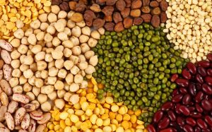 कडधान्ये (Pulses)