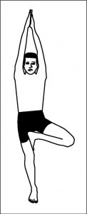 Read more about the article वृक्षासन (Vrikshasana)