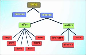 Read more about the article प्रत्यक्ष (Positive; Perception)