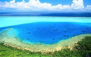 Read more about the article खारकच्छ (Lagoon)