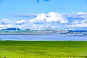 Read more about the article जॉर्ज सरोवर (George Lake)