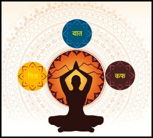 Read more about the article प्रकृती (दोष प्रकृती) (Prakruti /Doshaprakruti)