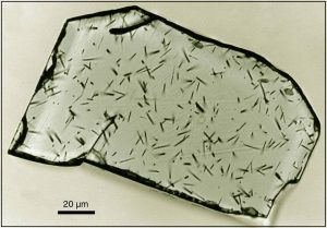 Read more about the article विभाजन तेजोरेषा पद्धती (Fission Track Dating)