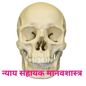 Read more about the article न्याय सहायक मानवशास्त्र (Forensic Anthropology)