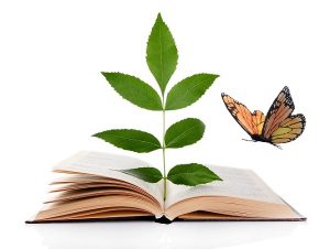 पर्यावरण शिक्षण (Environment Education)