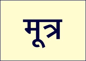 Read more about the article मूत्र