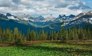 Read more about the article सायान पर्वत (Sayan Mountains)