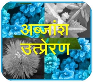 अब्जांश उत्प्रेरण (Nanocatalysis)