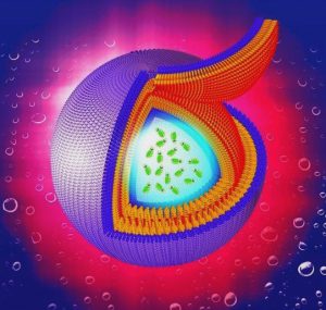 अब्जांश कुपी (Nanocapsules)