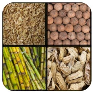 Read more about the article जैव इंधन (Biofuel)