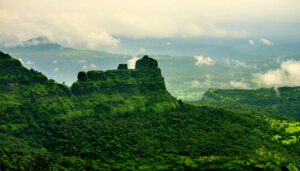Read more about the article भीमाशंकर अभयारण्य (Bhimashankar Wildlife Sanctuary)