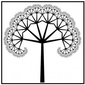 अपूर्णमितीय भूमिती आणि स्वसाधर्म्य (Fractal Geometry and Self Similarity)