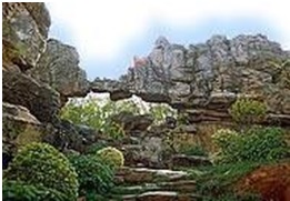 Read more about the article भूवैज्ञानिकीय आश्चर्य : खडकांमधील नैसर्गिक कमान (Geological Marvels : Natural Arch)