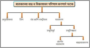 Read more about the article बालकाच्या वाढ व विकासावर परिणाम करणारे घटक ( Factors affecting the growth and development of the child)