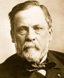 पाश्चर, लुई ( Pasteur,  Louis)
