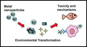 अब्जांश तंत्रज्ञान : पर्यावरण विष-चिकित्सा (Environmental Nanotoxicology)