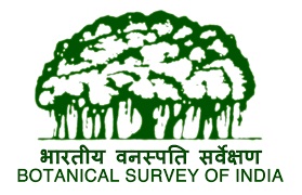 भारतीय वनस्पती विज्ञान सर्वेक्षण संस्था (Botanical Survey of India)