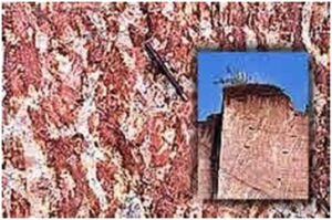 आर्थिक भू - स्मारके : जांभा खडक (Economic Geo - Monuments : Laterite Rock)