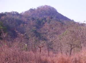 भवानीगड (Bhavanigad)