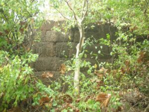 विजयगड (Vijaygad)