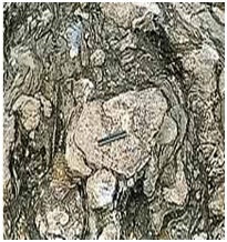 Read more about the article शिला स्मारके : अग्निदलिक खडक (Rock Monuments : Pyroclastic Rocks)