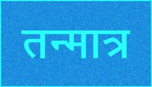 तन्मात्र