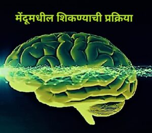 मेंदूमधील शिकण्याची प्रक्रिया (Learning Process in Brain)