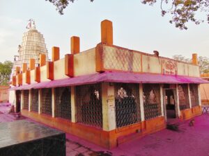 Read more about the article सोनारी (Sonari)