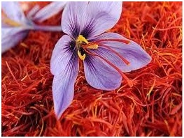 काश्मिरी केशर (Kashmir Saffron)