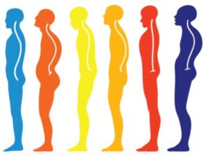 शारीरिक ठेवण (Posture)