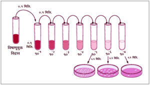 Read more about the article विषाणू मापनपद्धती : प्लाक गणना (Plaque-forming unit)