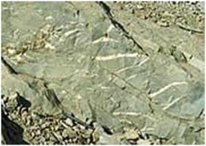 Read more about the article स्तरित स्मारके : बृहत् सीमावर्ती भ्रंश (Stratigraphic Monuments : Great Boundary Fault)