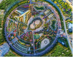 Read more about the article मिरॅकल पुष्पोद्यान (Miracle Garden)