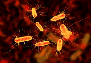 Read more about the article एश्चेरिकिया कोलाय (ई. कोलाय) [Escherichia Coli (E. Coli)]