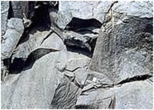 Read more about the article शिला स्मारके : चार्नोकाइट (Rock Monuments : Charonockite)