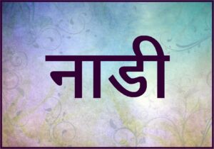 Read more about the article नाडी  (Channel of Prana)