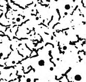 Read more about the article दृढ ग्रॅफाइट लोखंड (Compacted Graphite Iron)