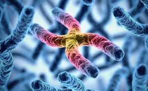 Read more about the article गुणसूत्र (Chromosome)