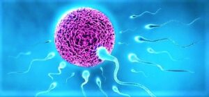 जननक्षमता  (Fertility)