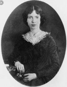 Read more about the article एमिली डिकिन्सन (Emily Dickinson)