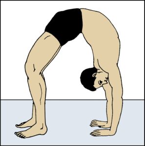 चक्रासन (Chakrasana)