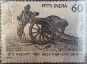Read more about the article नारायणसिंह (Veer Narayan Singh)