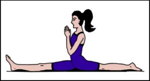 Read more about the article हनुमानासन (Hanumanasana)