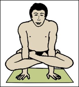 Read more about the article कुक्कुटासन (Kukkutasana)